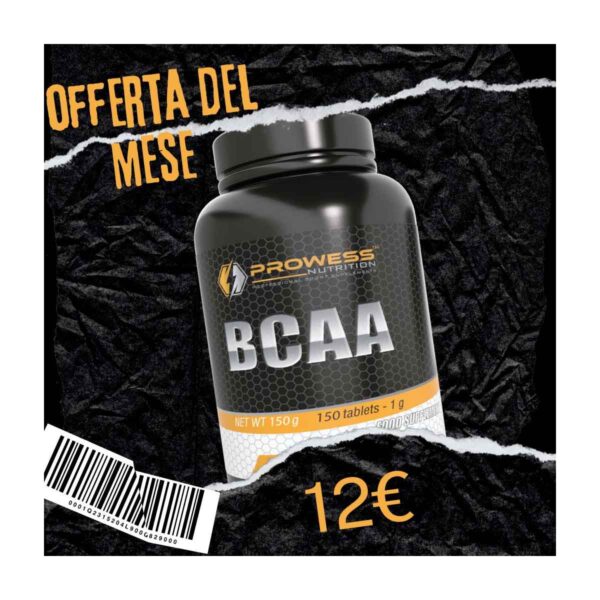 BCAA 2:1:1 PROWESS NUTRITION